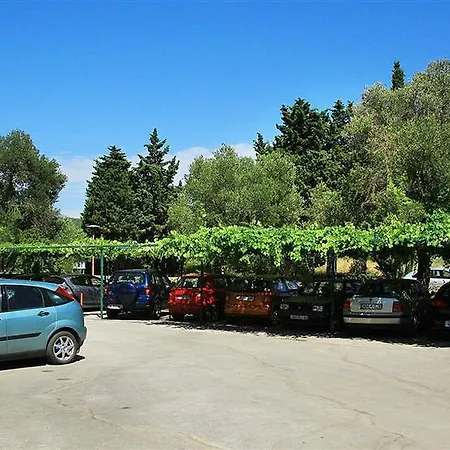 Aminess Vival Port9